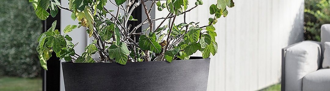 Plantencenter Roegiers: Het ruimste aanbod tuinplanten en tuingereedschap