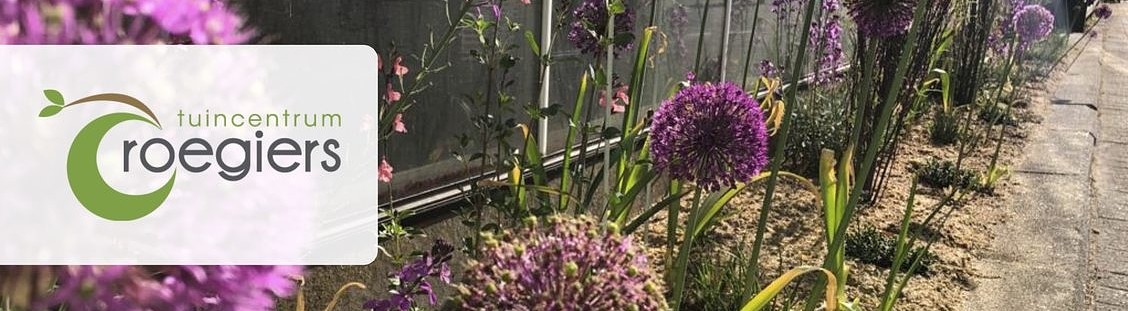 Plantencenter Roegiers: Het ruimste aanbod tuinplanten en tuingereedschap