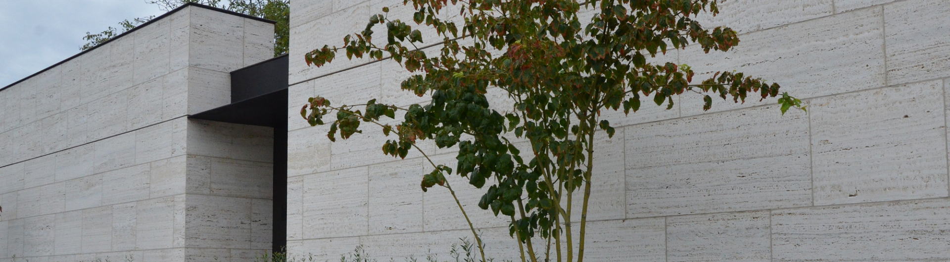 Plantencenter Roegiers: Het ruimste aanbod tuinplanten en tuingereedschap