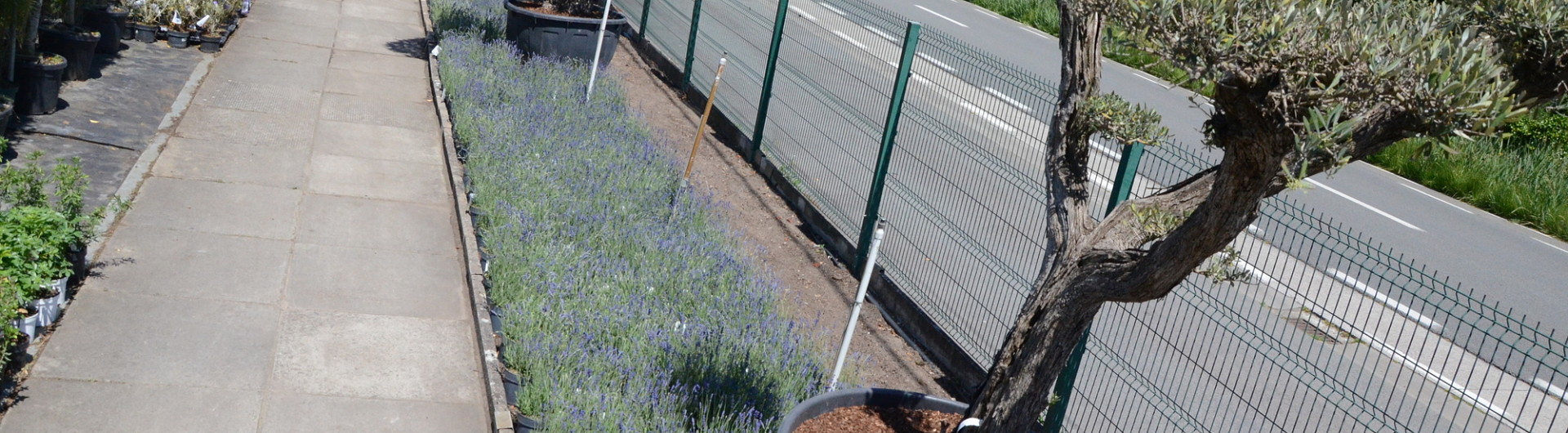 Plantencenter Roegiers: Het ruimste aanbod tuinplanten en tuingereedschap