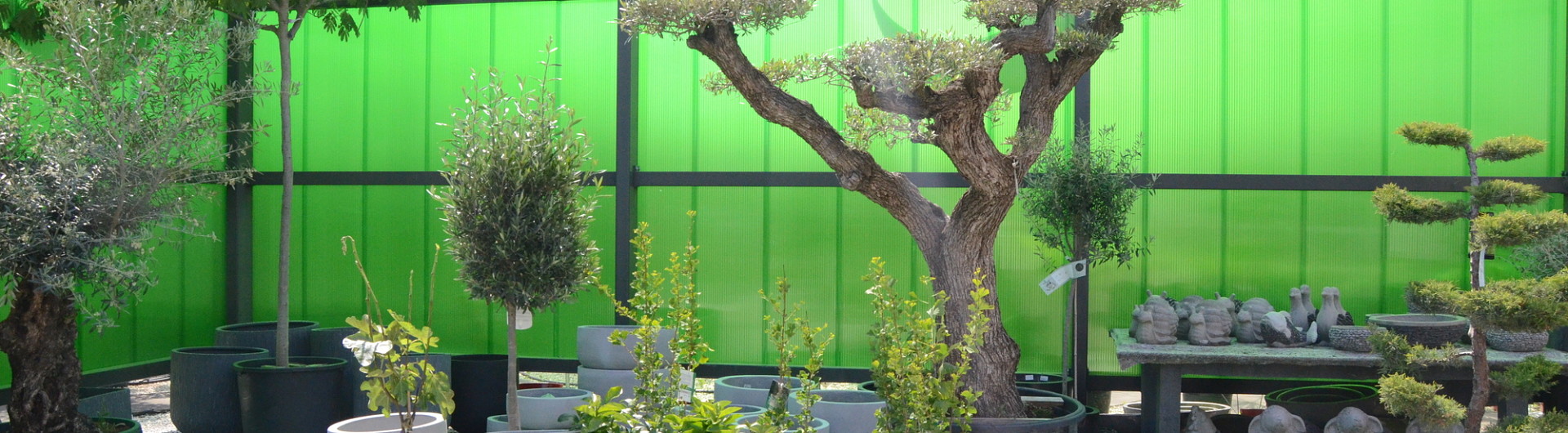 Plantencenter Roegiers: Het ruimste aanbod tuinplanten en tuingereedschap