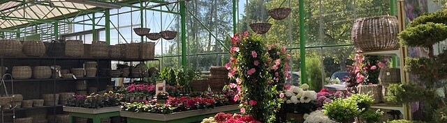 Plantencenter Roegiers: Het ruimste aanbod tuinplanten en tuingereedschap