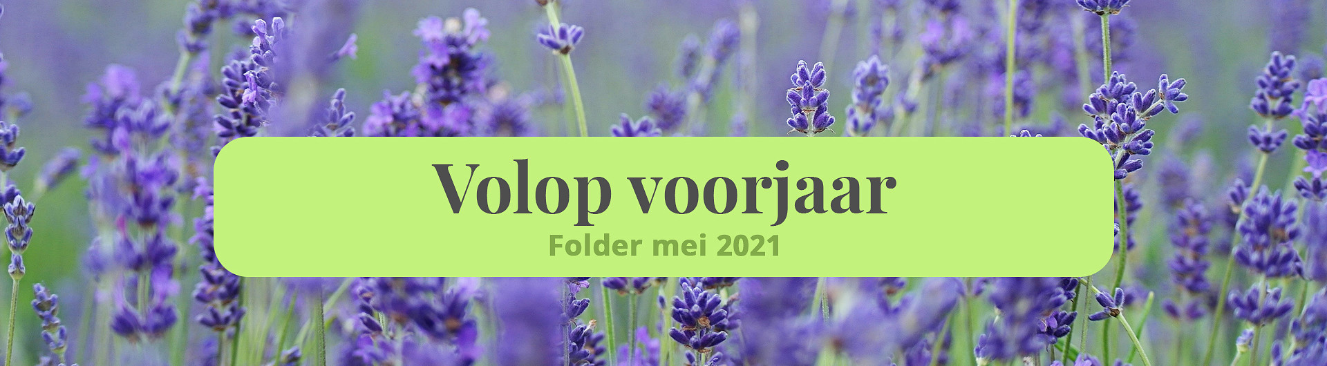 Plantencenter Roegiers: Het ruimste aanbod tuinplanten en tuingereedschap