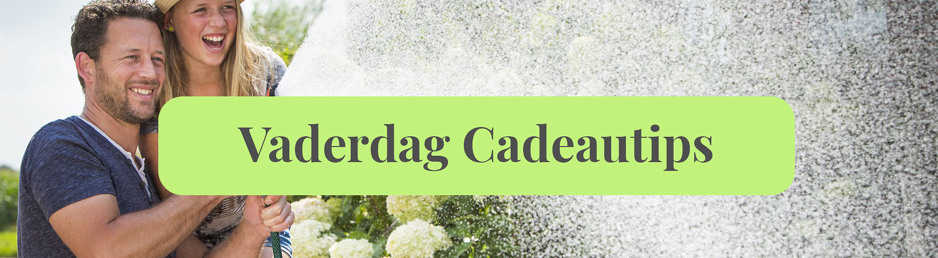 Plantencenter Roegiers: Het ruimste aanbod tuinplanten en tuingereedschap